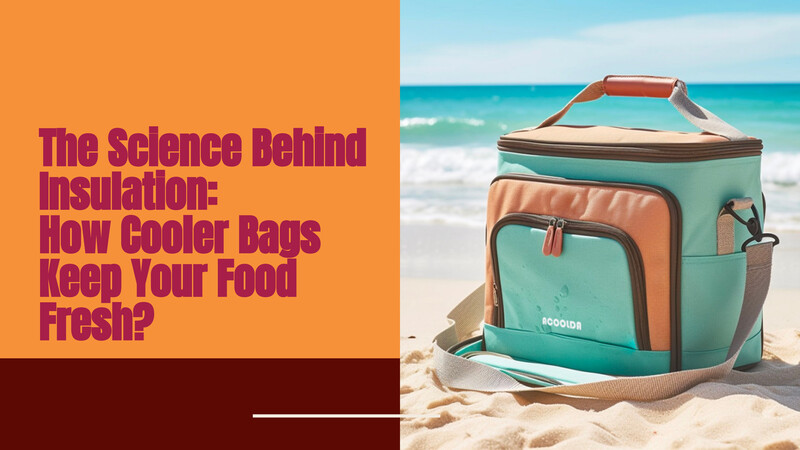 наука о теплоизоляции: как сумки-холодильники сохраняют свежесть продуктов | ДЕЙСТВОВАТЬ